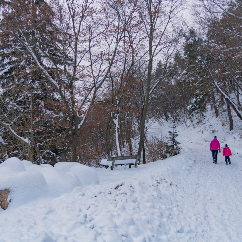 Winterspaziergang